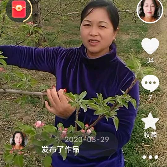 苹果韵姐