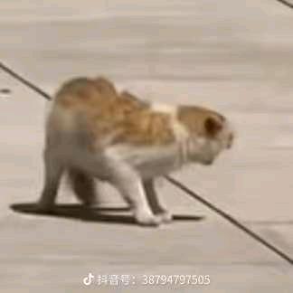 酒月