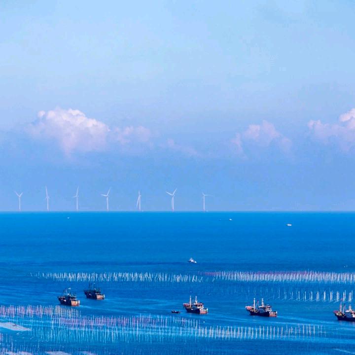 瑾权食品企业店