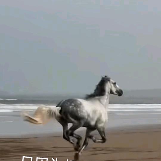 心如野马