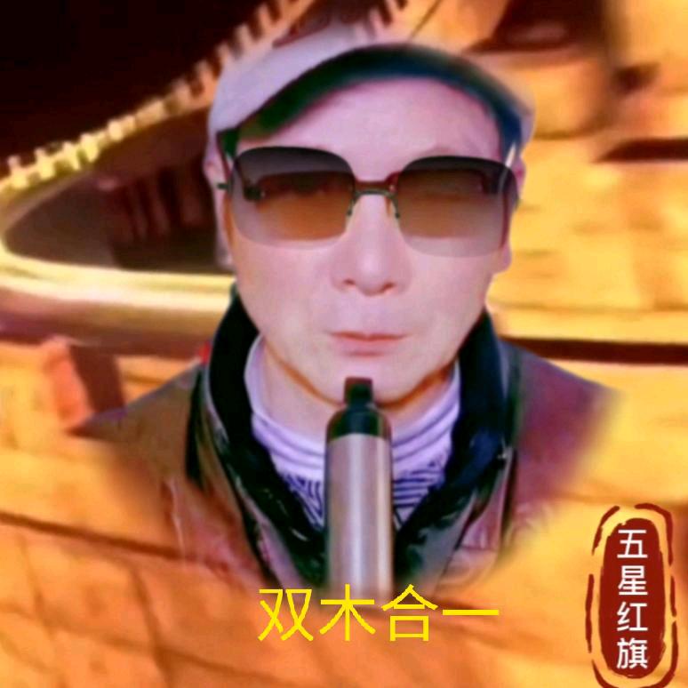 双木合一共创辉煌