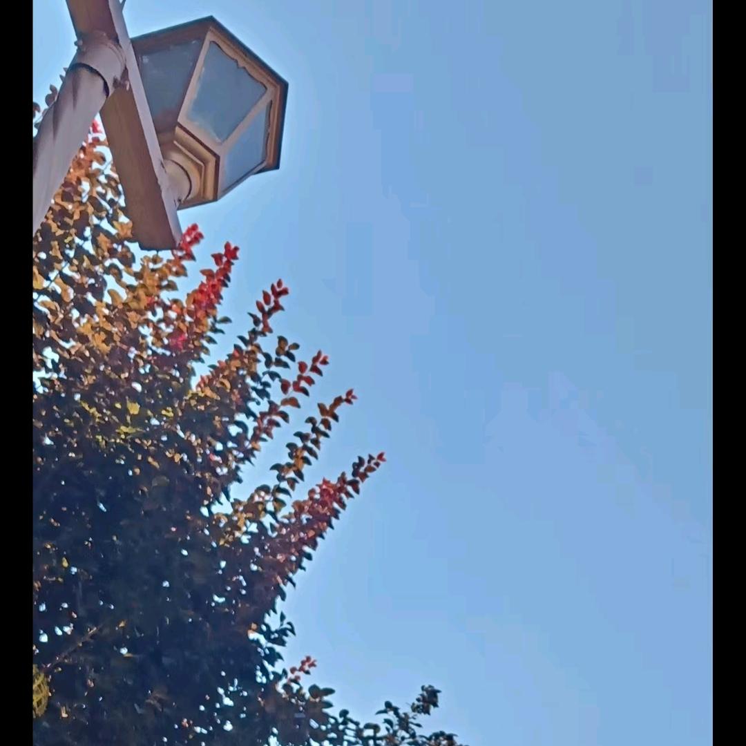 :李纾贤