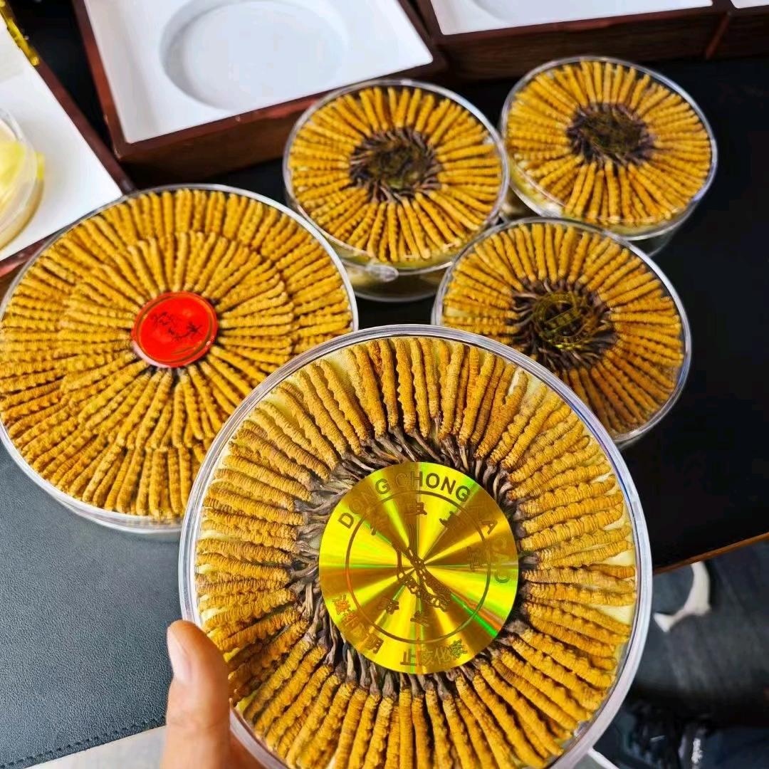 虫草小马哥｛那曲虫草｝