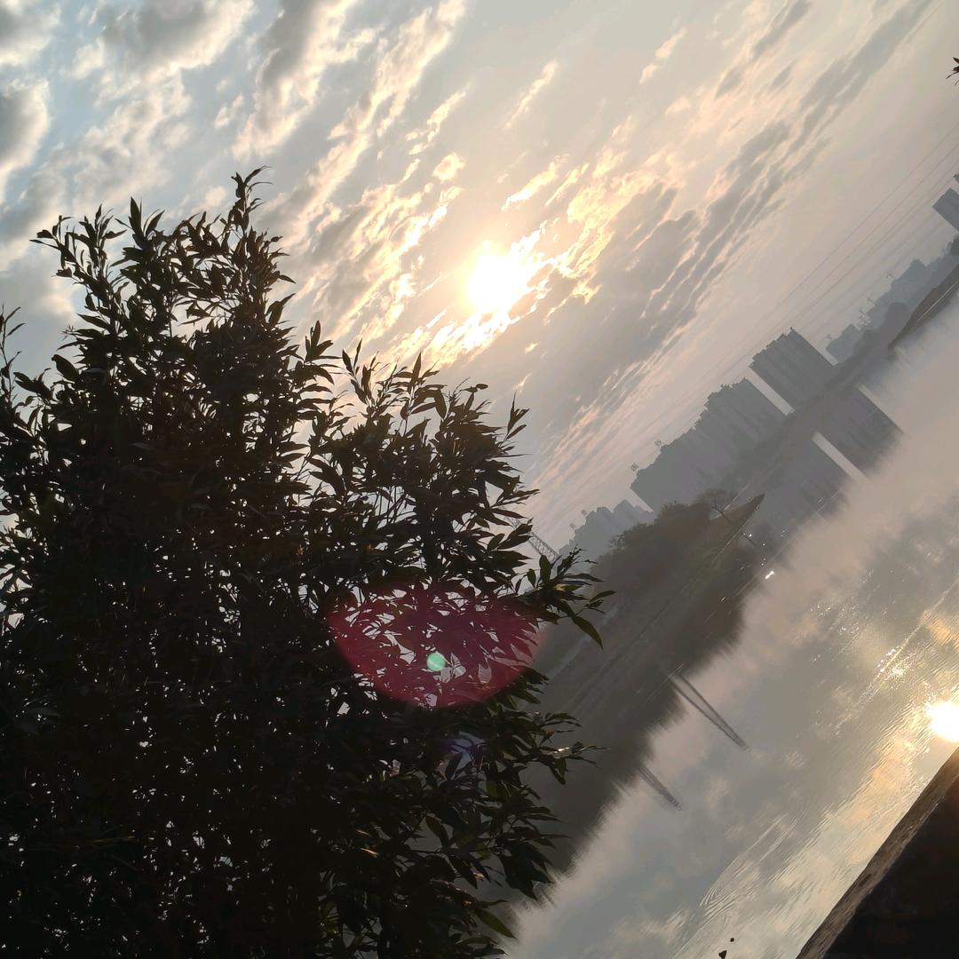 学不会@