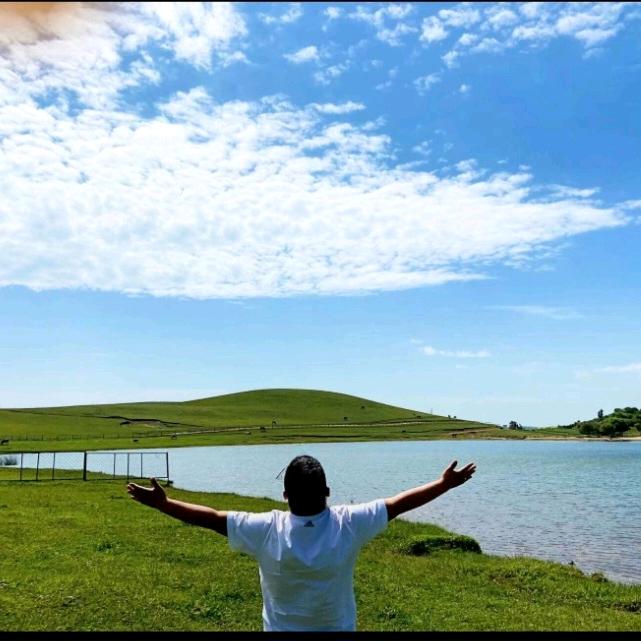 小胖元宝批发（有场地🔥）