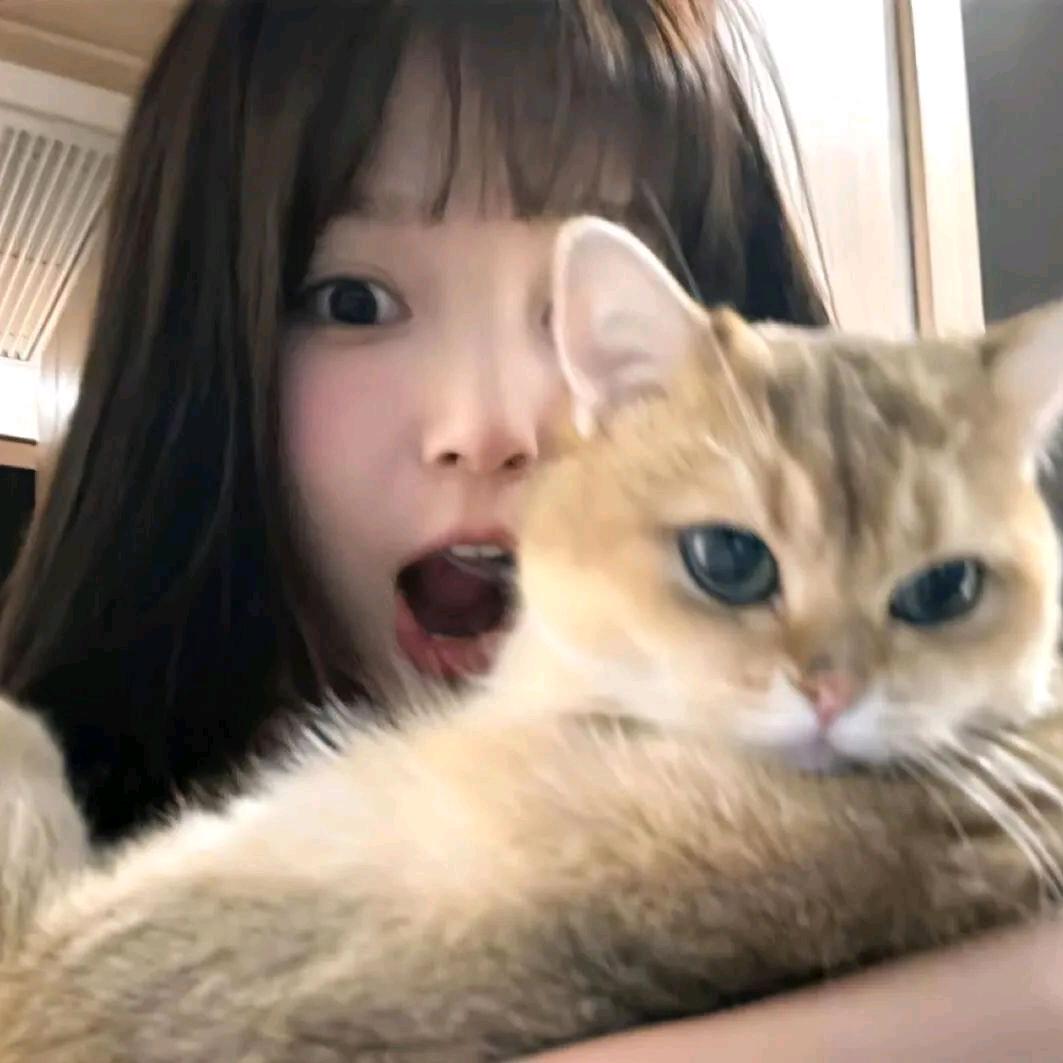 泡泡