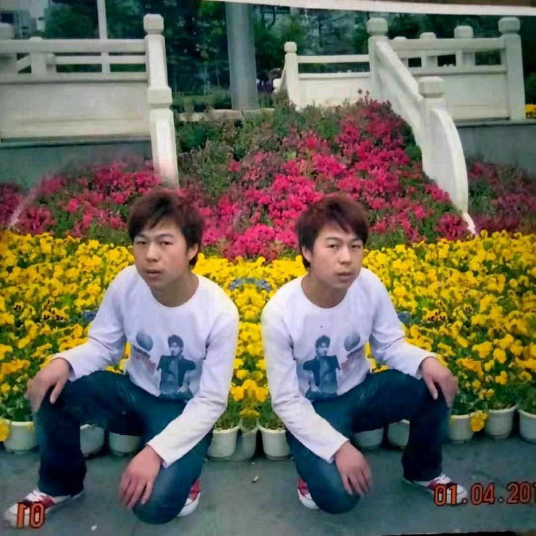 金吉花