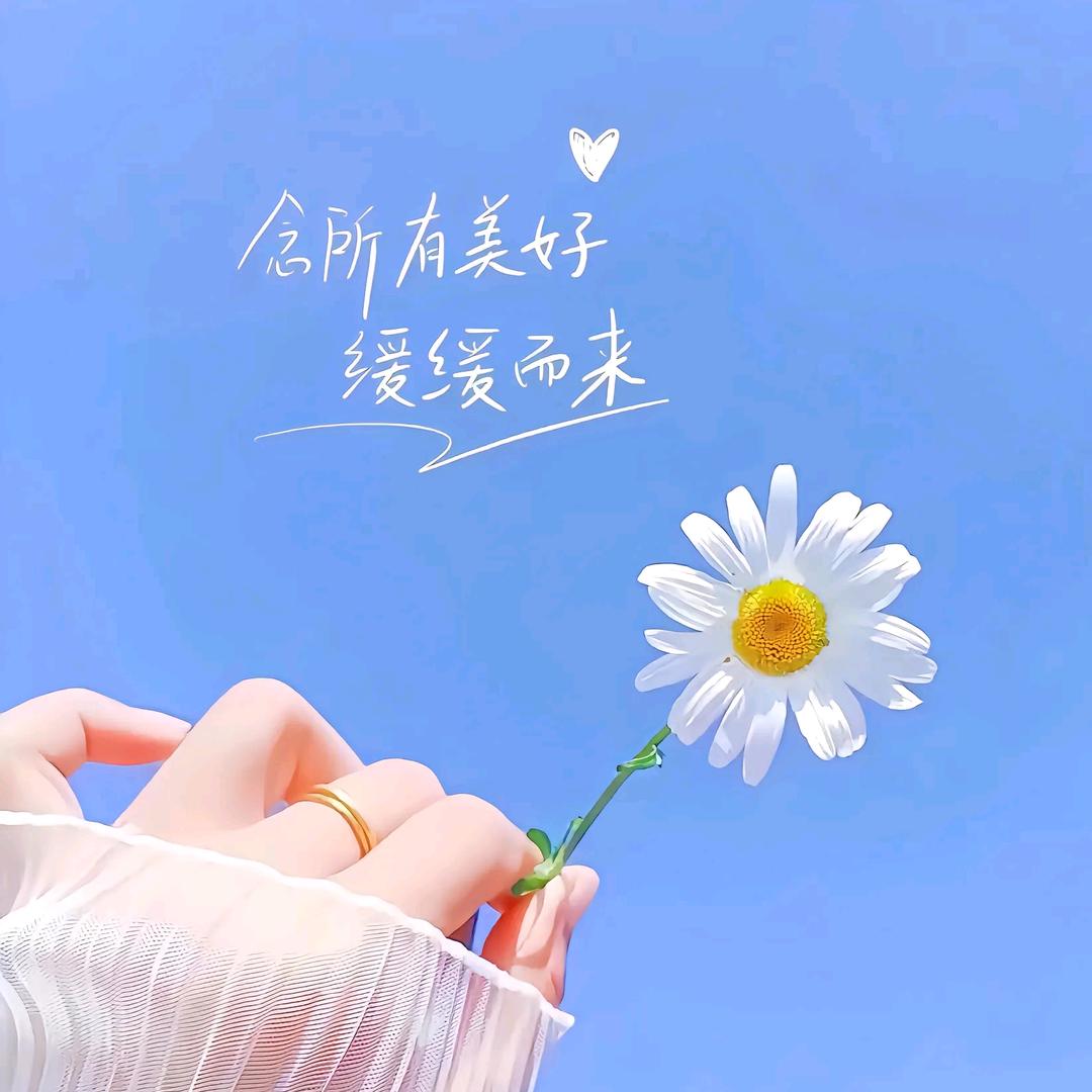 分享好物