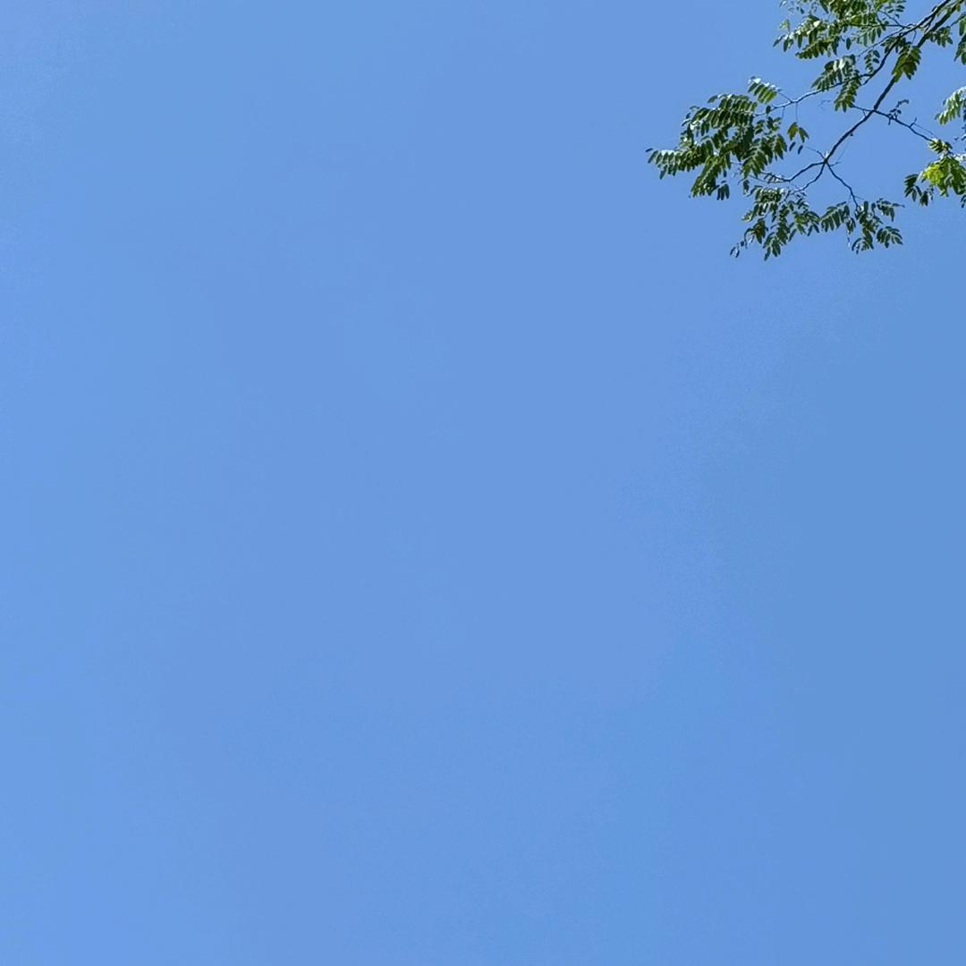 如云