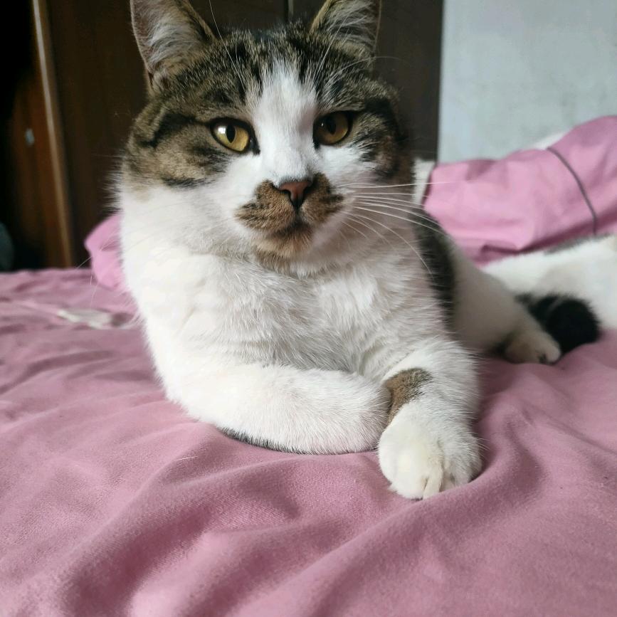 遇见🌹🌹🌹美好