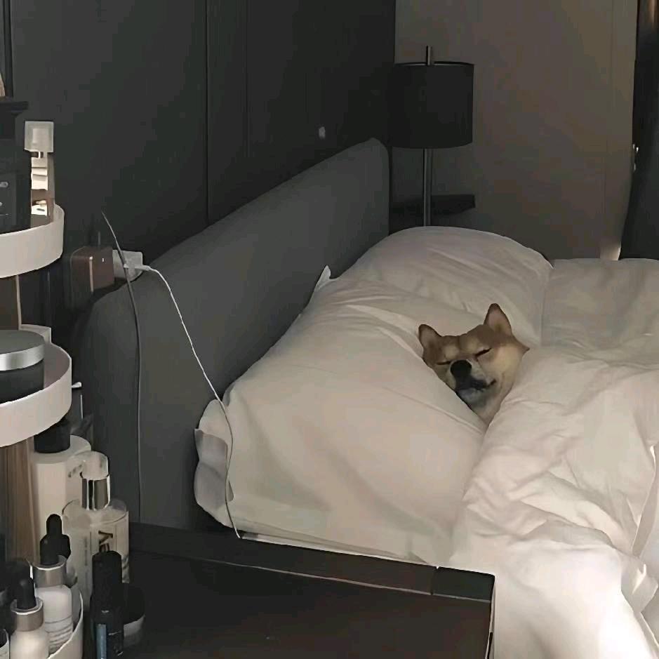 cat～