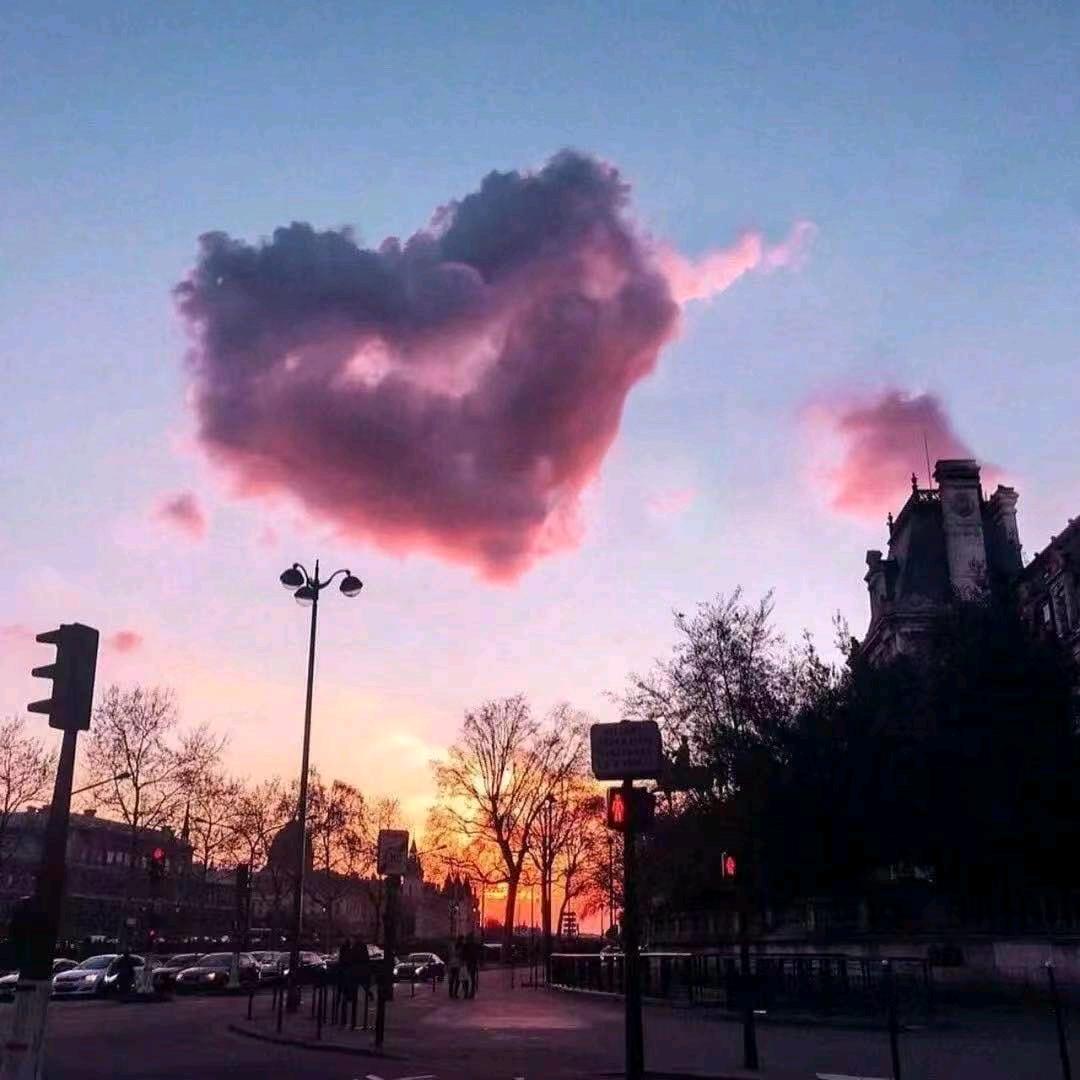 晴天（三打哈）