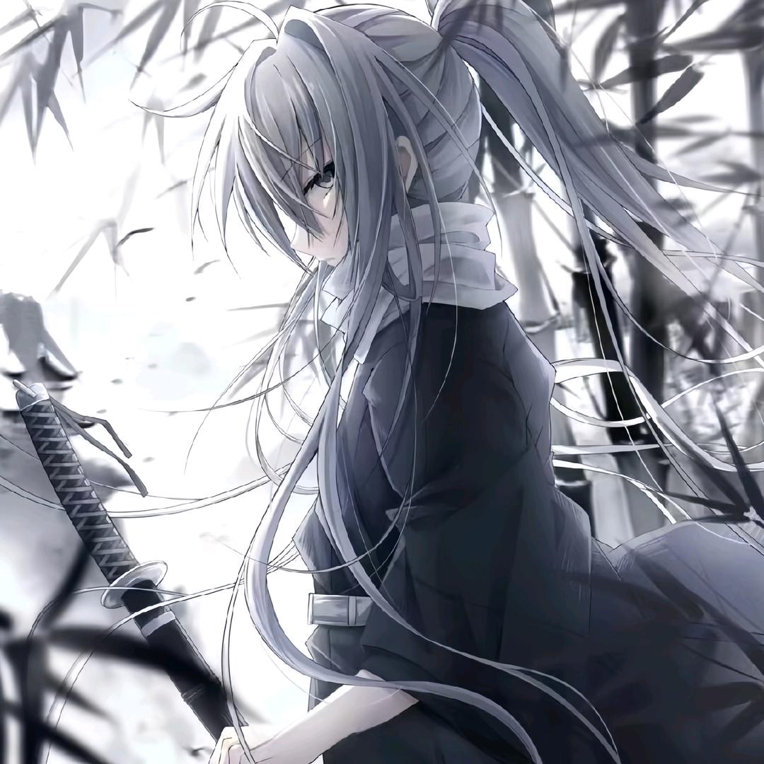 🌈棉花（国一云中君）