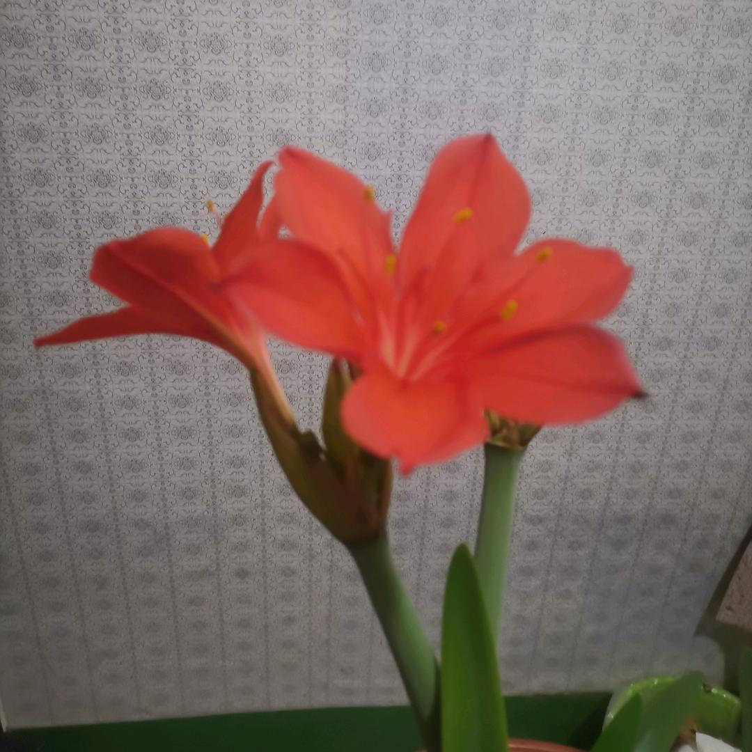 一生幸福😁🎉