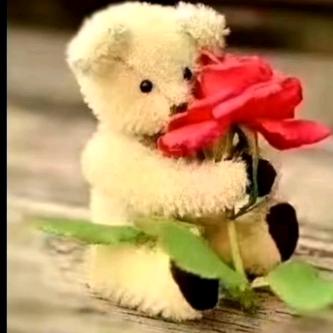 🌹1376🌹
