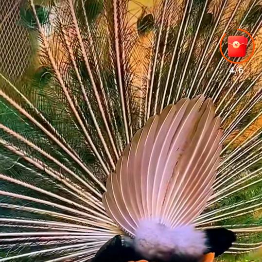 🥀এ᭄幸福ꦿ有💔李ོ࿐ᩚ