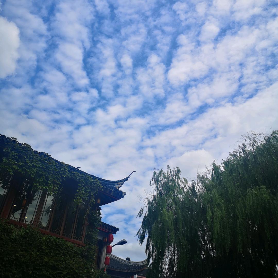 秋雨海棠美颜社(静安店)