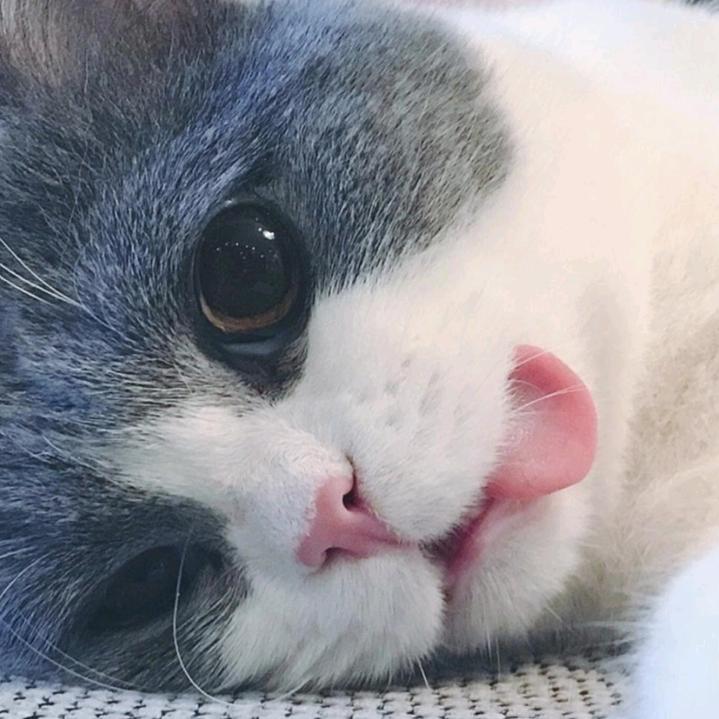 牵心