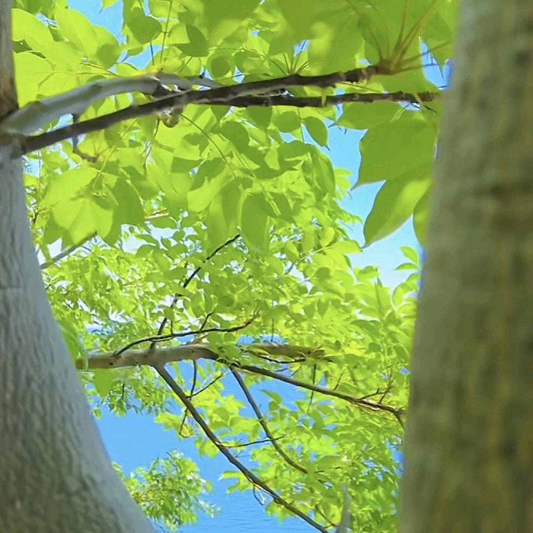 u第邮递员寓丽花城厉害勚邮递员