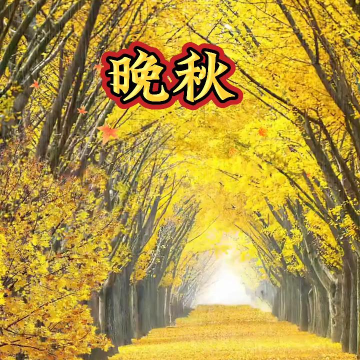 晚秋