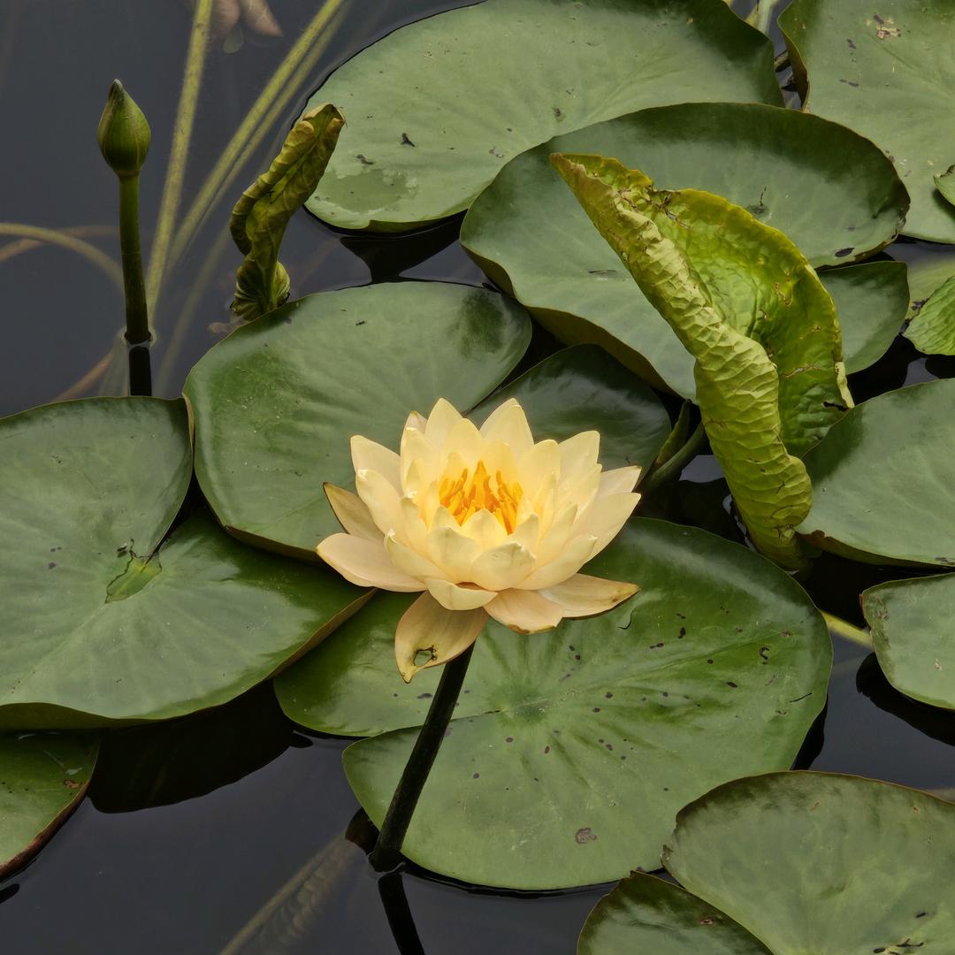 静静老师资料库