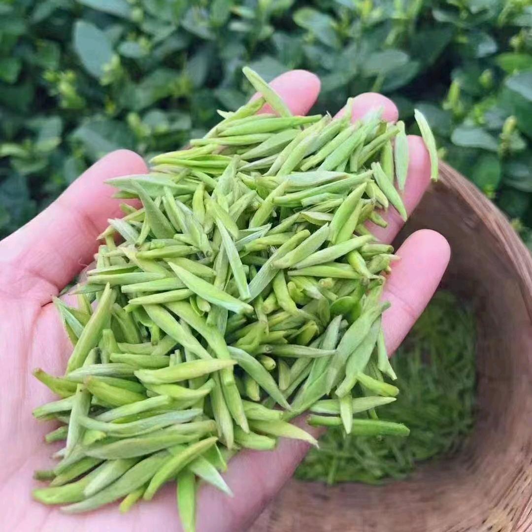 茶香妹