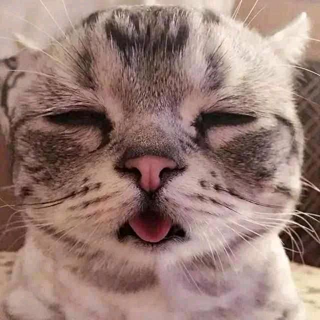 離=石头