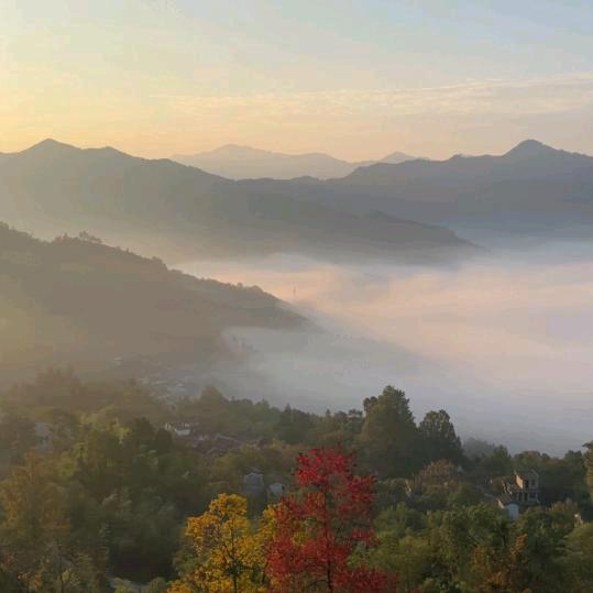 高山