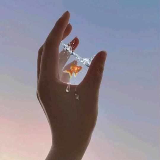 问心无愧