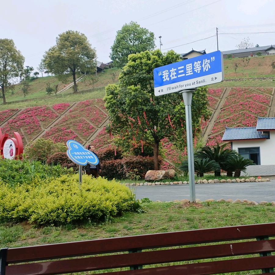 思  密  达
