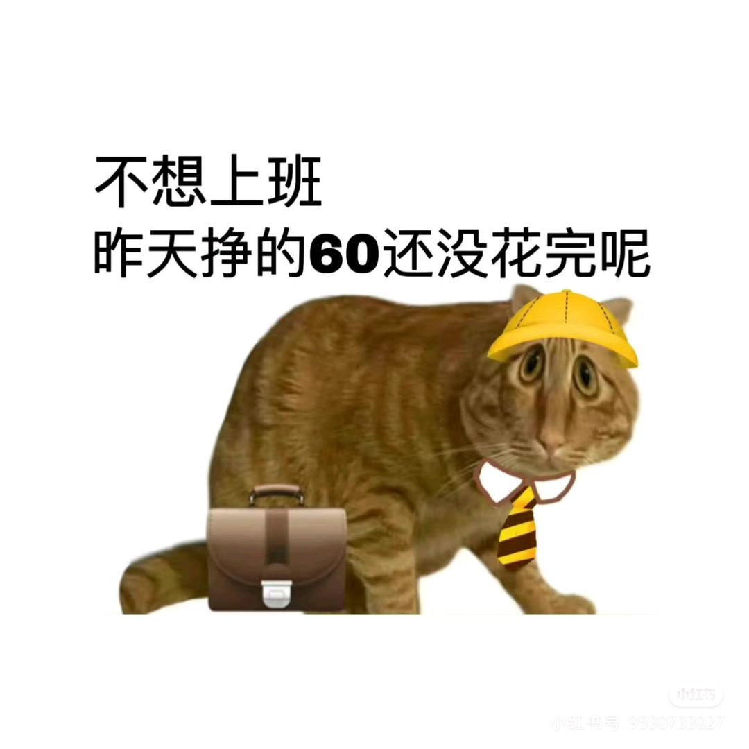 搞装饰的小猪