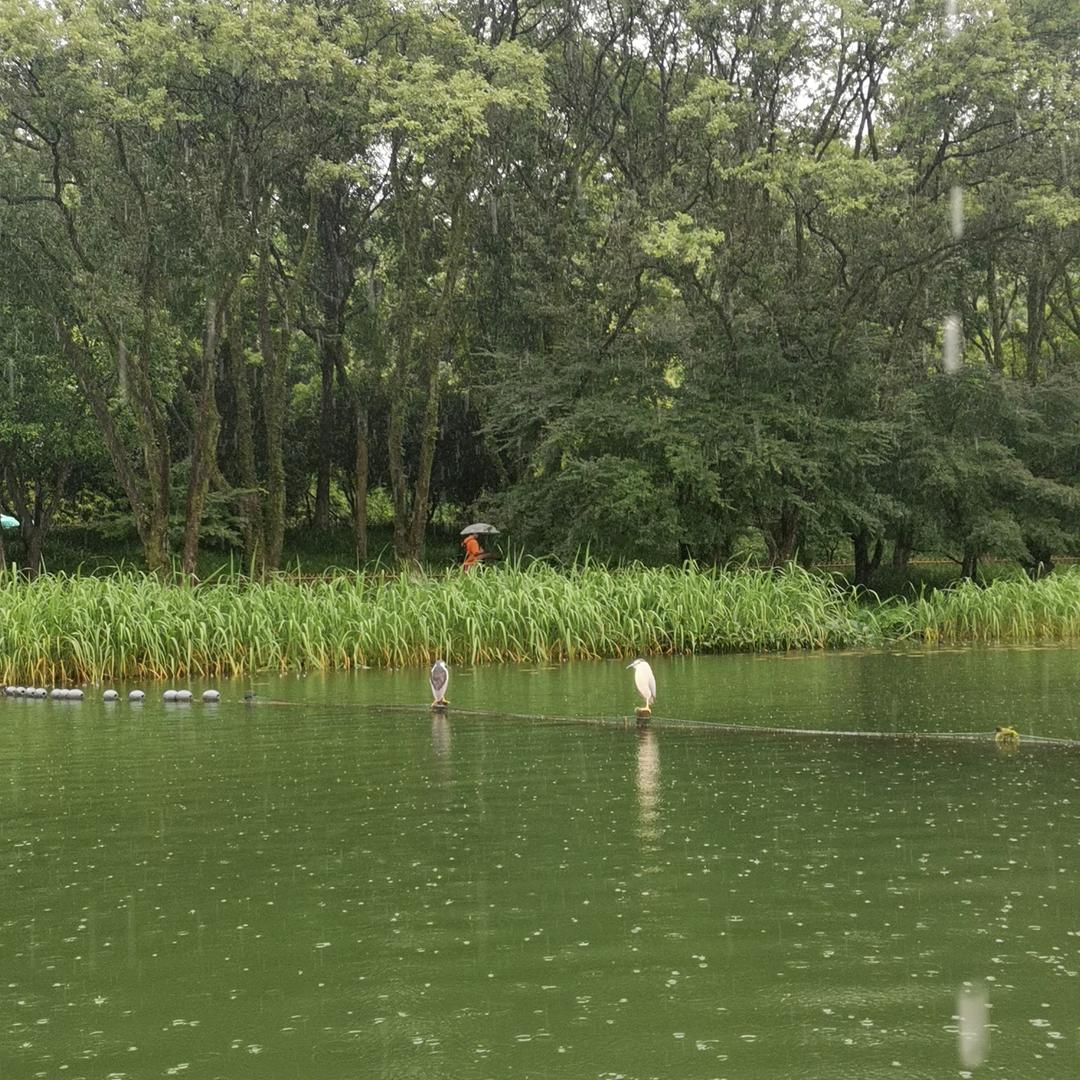 填料滤料药剂-厂家