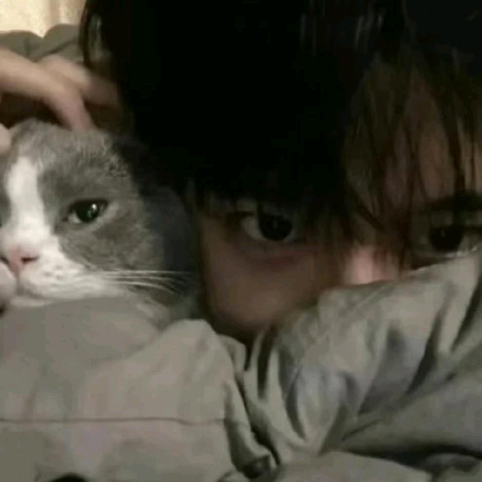 圆润龟龟