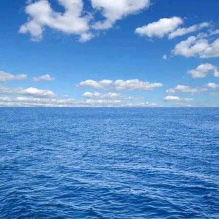 浩雲.凡东