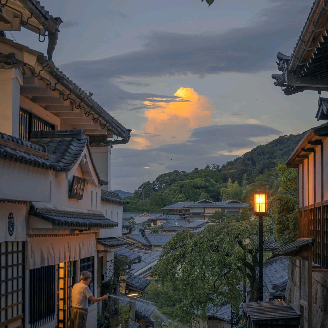 锦成说杨姓