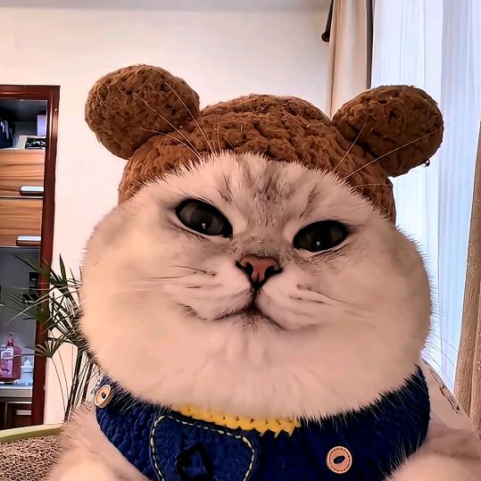 金宝-