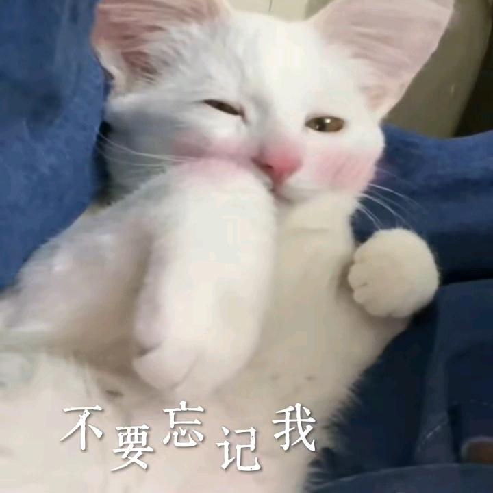 齁甜齁甜