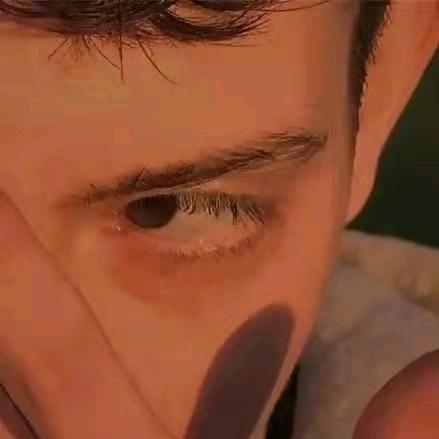 爱打篮球的叮咚鸡