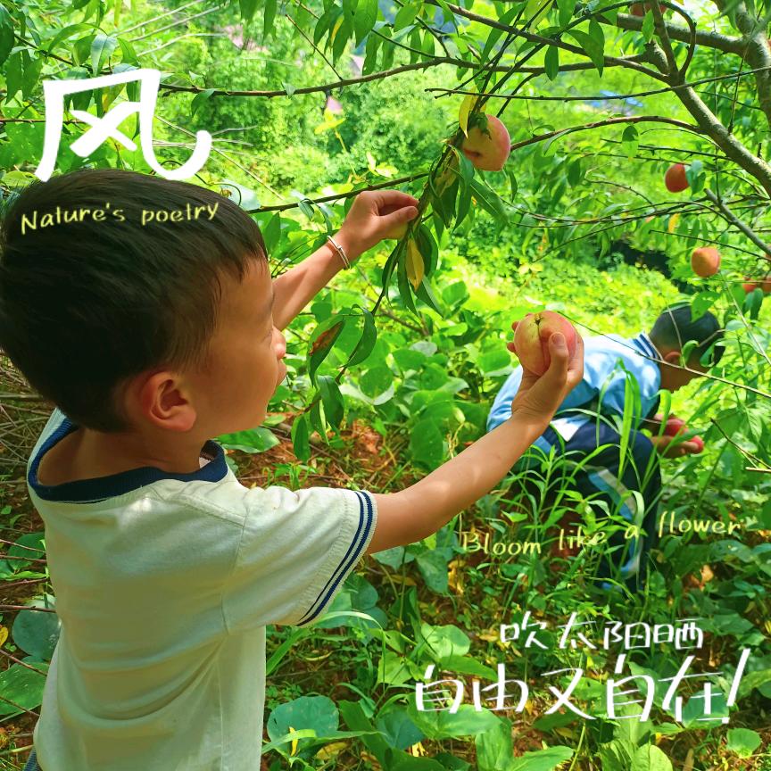 坆螝婲疜の塟礼