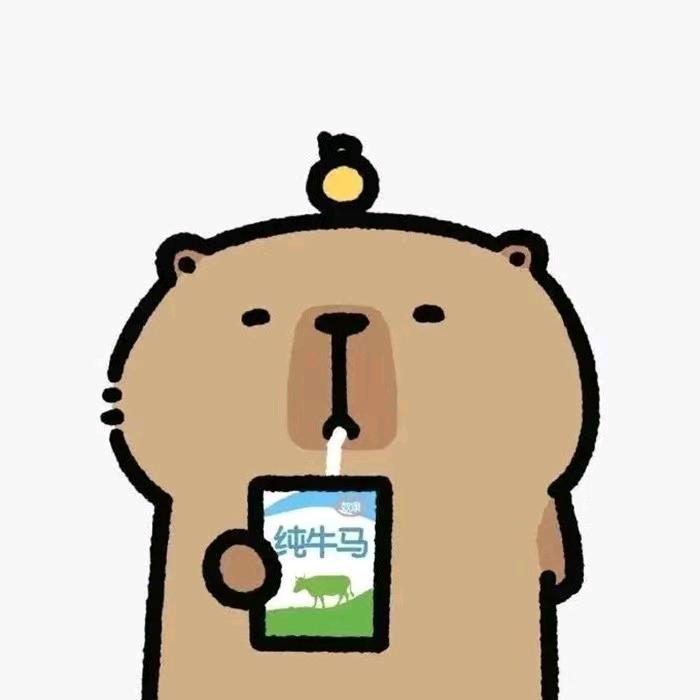 灰灰2号