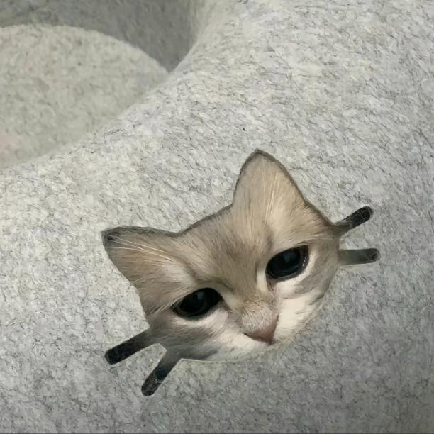 亿万富婆