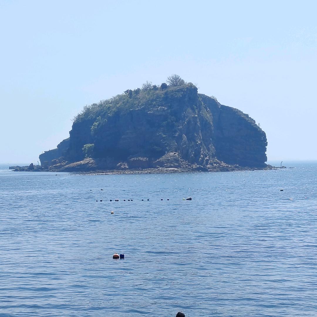 互粉（有关必回）