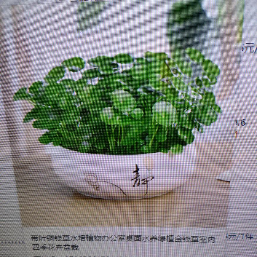 你不问☺️☺️