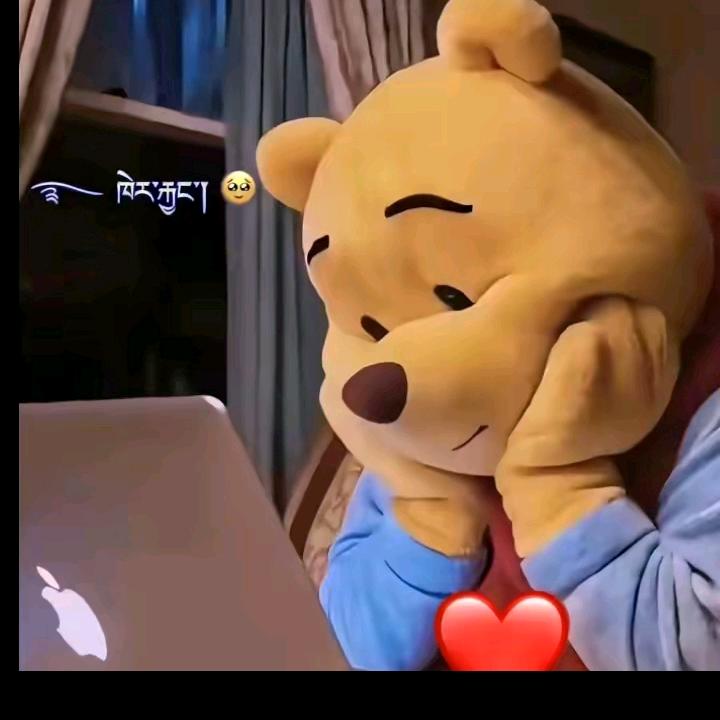 བོད་🌸ཀྱི་🌷བུ་💐མོ།