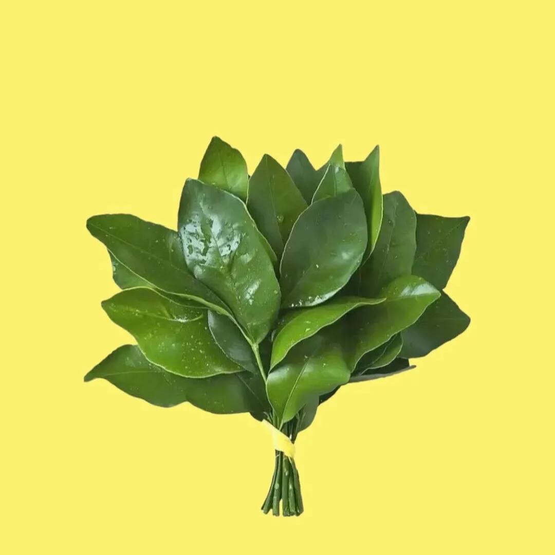 丞丞的丞