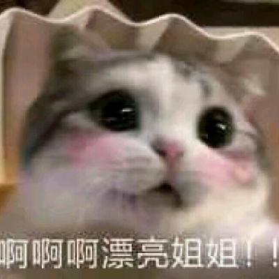 邪儒姐姐