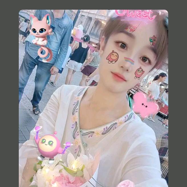 喵了个咪