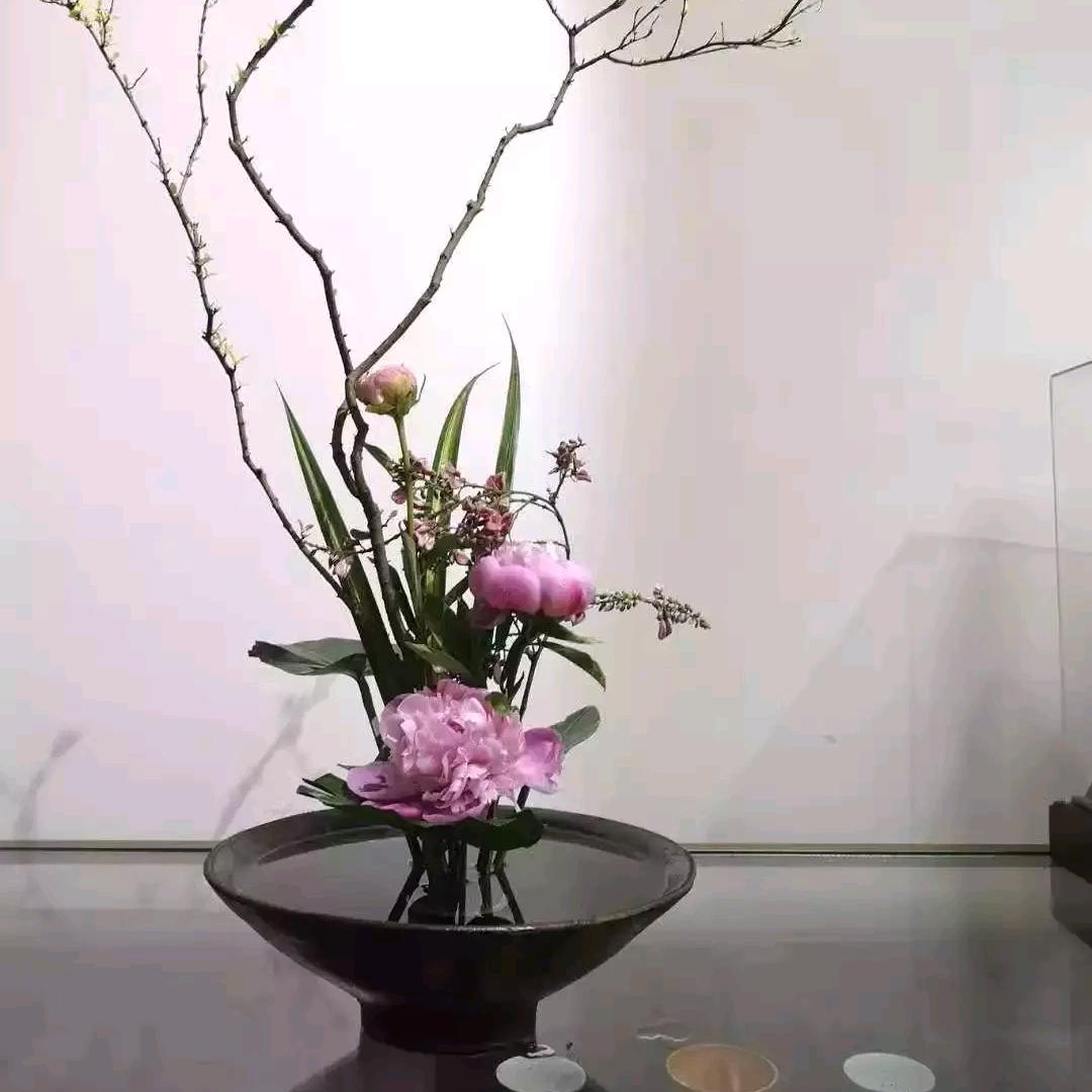 ₍ᐢ..ᐢ₎ 镜花水月