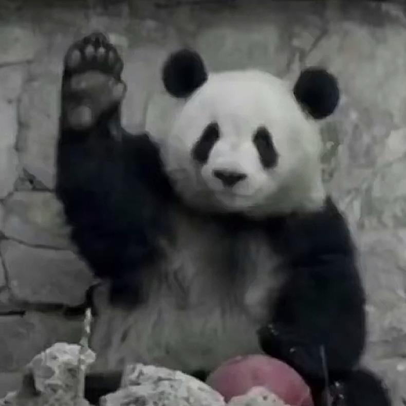 李森森森森