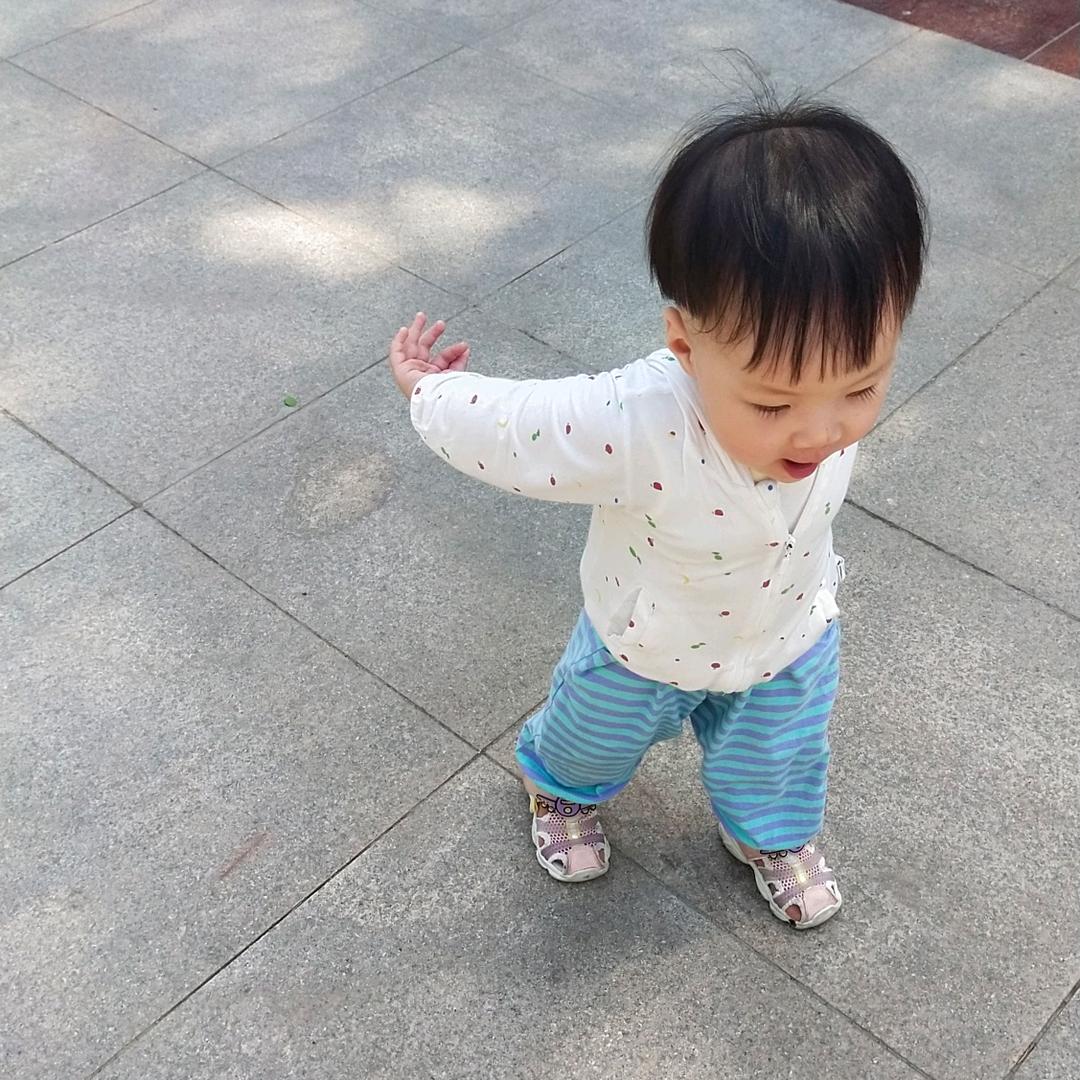 辛集郑哥